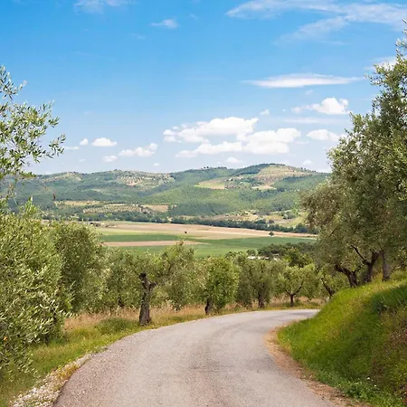 Lovely In Civitella Benazzone